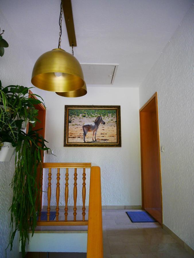 Ferienwohnung Eichkatzel Zell Екстер'єр фото